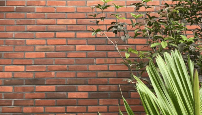 Gạch cẩn dày thường được sử dụng để ốp lát tường