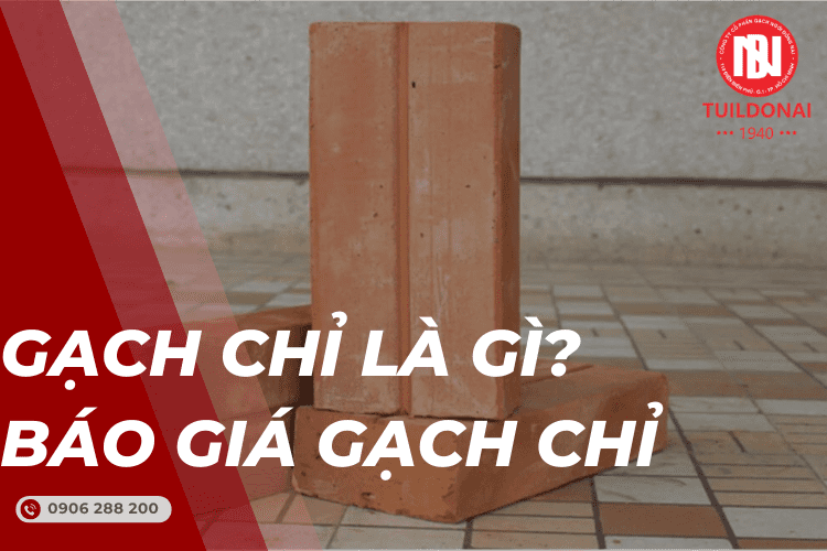 Gạch chỉ là gì? Phân loại, báo giá gạch chỉ mới nhất 2024