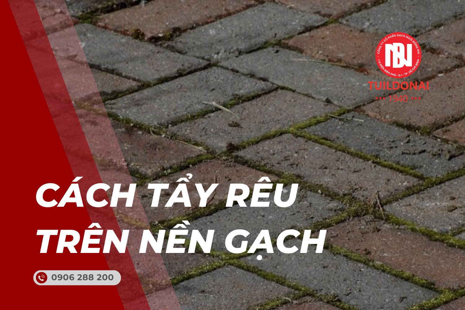 Cách tẩy rêu trên nền gạch